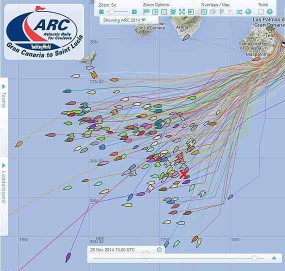 Atlantic Puffin - na tle regat ATC