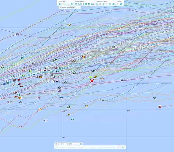 Atlantic Puffin - na tle regat ATC