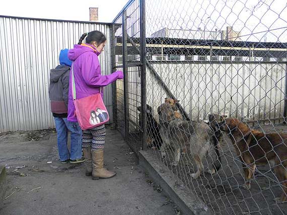 Dzieci ze Szko�y Podstawowej w Gostyniu pomagaj� zwierz�tom