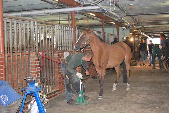 Wycieczka w ramach realizowanego projektu - Najlepszy w zawodzie