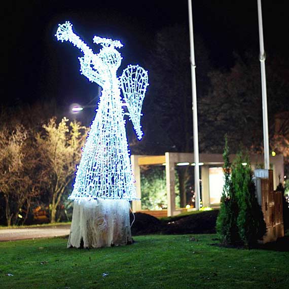 G�osuj na Mi�dzyzdroje!