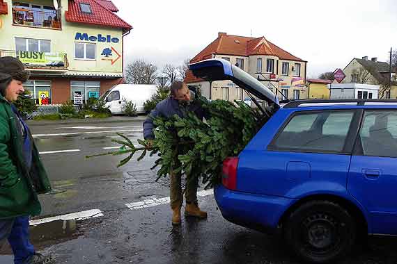 Kupuj� choinki, ale nie tylko...