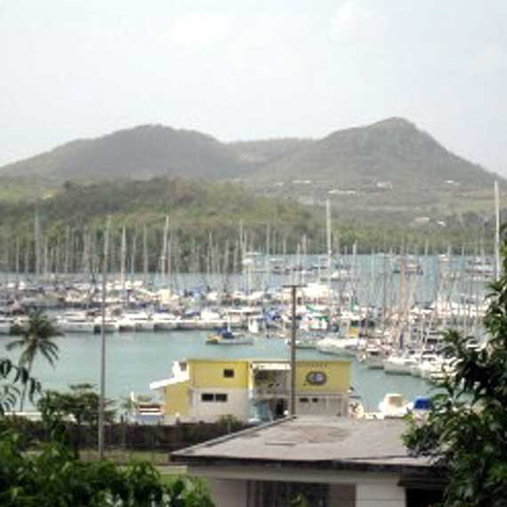 Atlantic Puffin JU� NA MARTYNICE