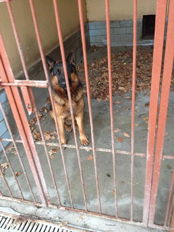 Szukamy w�a�ciciela