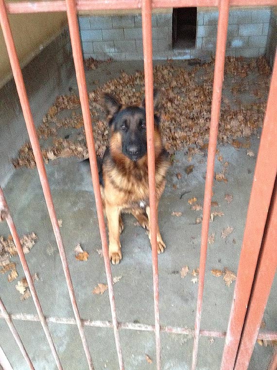 Szukamy w�a�ciciela