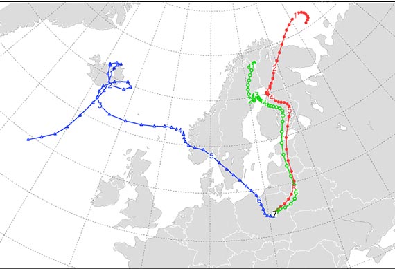 Nie wierzcie termometrom. Prognoza na najbli�sze dni