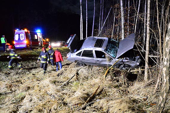 Auto przetoczyło się na pobocze