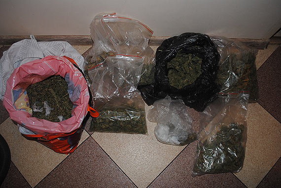 Areszt za handel i posiadanie narkotyk�w