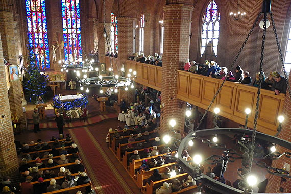 M�drcy �wiata Monarchowie... Zobacz film!