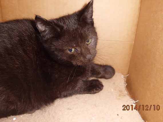 Czy kto� widzia� Franka?