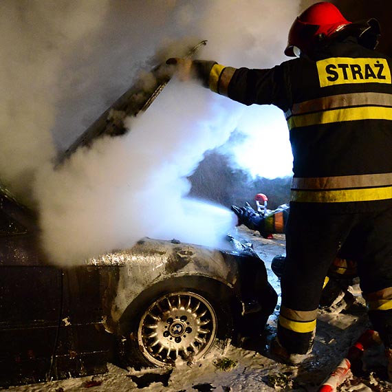 Ogień mógł przenieść się na budynki