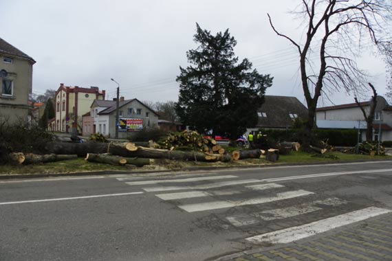 Trwaj� prace przygotowawcze do przebudowy kilku ulic w Kamieniu Pomorskim