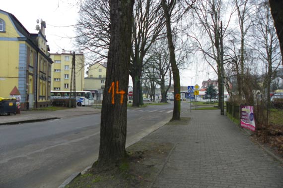 Trwaj� prace przygotowawcze do przebudowy kilku ulic w Kamieniu Pomorskim