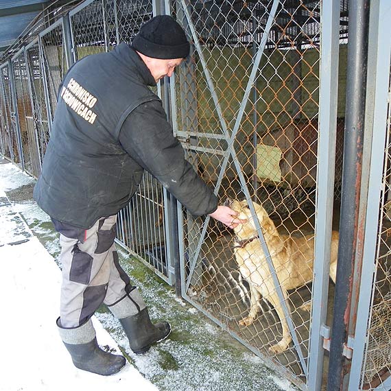 Schronisko w Sosnowicach zim�