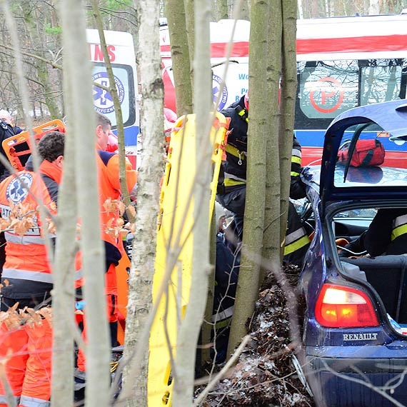 To cud, �e nie zgin�li. Zobacz film!