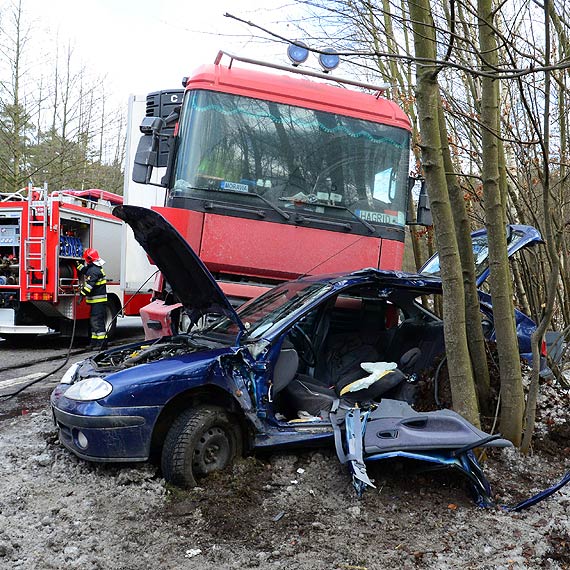 To cud, �e nie zgin�li. Zobacz film!