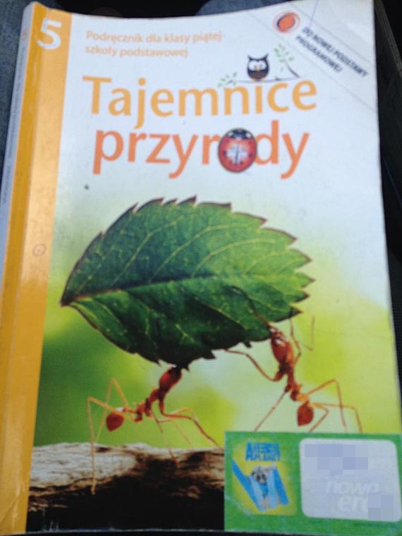 W szkole ucz�, �e Szczecin le�y nad morzem