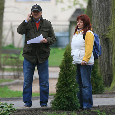 Międzyzdroje: Zasadzą siedem palm