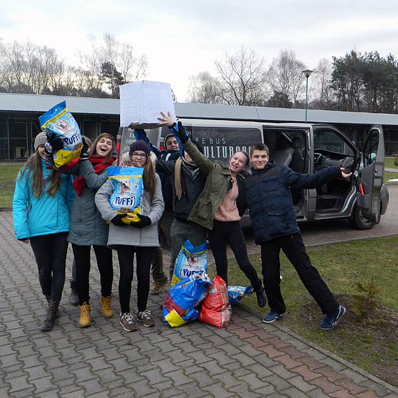 Wolontariusze w schronisku