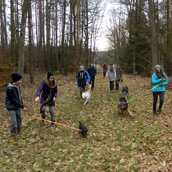 Wolontariusze w schronisku