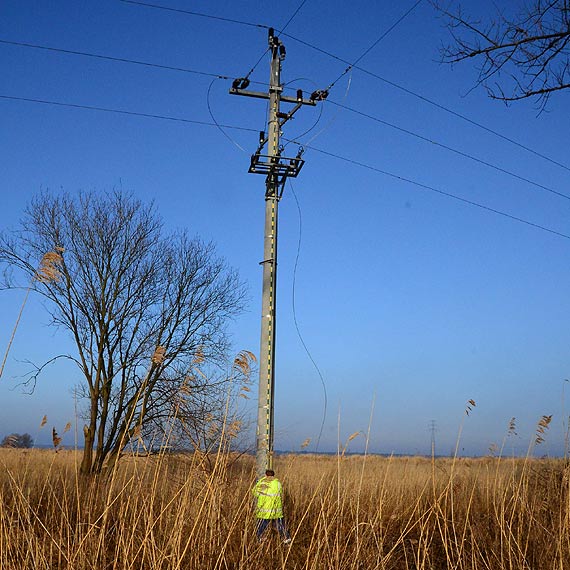 W Wapnicy i Lubinie awaria pr�du. Zerwa�a si� linia �redniego napi�cia. Kabel le�a� na drodze 
