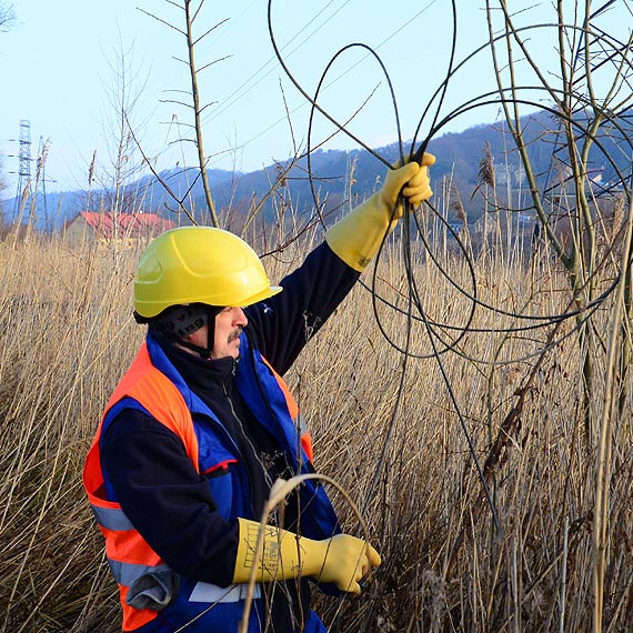 W Wapnicy i Lubinie awaria pr�du. Zerwa�a si� linia �redniego napi�cia. Kabel le�a� na drodze 
