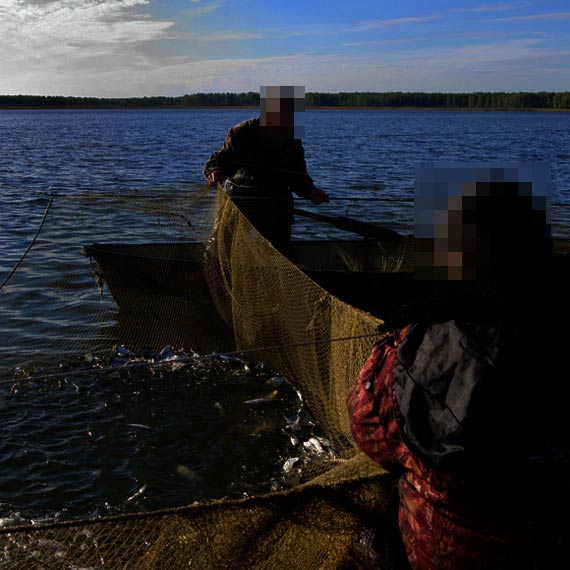 Ob�awa stra�y granicznej na k�usownik�w. Wylegitymowano 10 os�b w tym 2 policjant�w