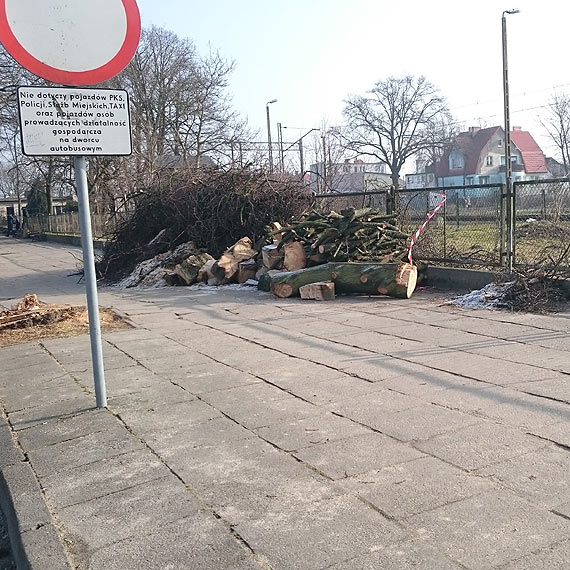 Urz�dnicy odpowiadaj� w sprawie zalegaj�cego drewna w Kamieniu Pomorskim 