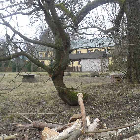 Integracja w�r�d m�odzie�y