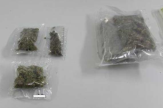 Areszt za  udzielanie �rodk�w odurzaj�cych i posiadanie ponad 150 gram�w marihuany