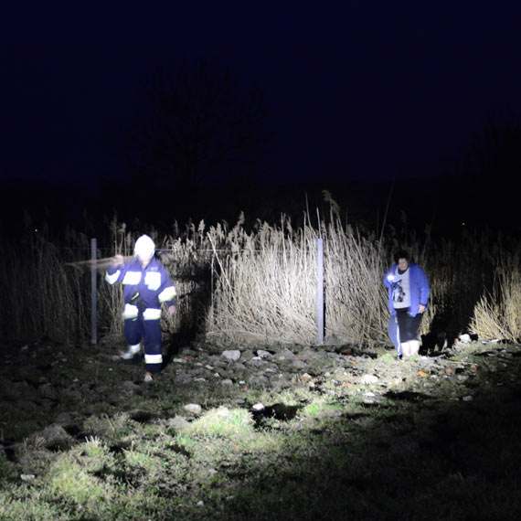 Trzcina pali�a si� w Wapnicy. Na szcz�cie ogie� si� nie rozprzestrzeni�