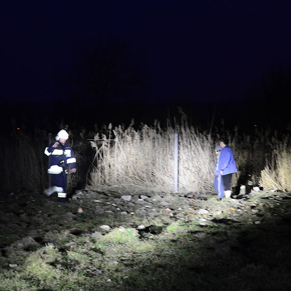 Trzcina pali�a si� w Wapnicy. Na szcz�cie ogie� si� nie rozprzestrzeni�