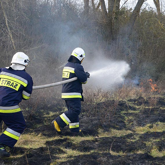 Kolejny po�ar. Tym razem w Lubinie
