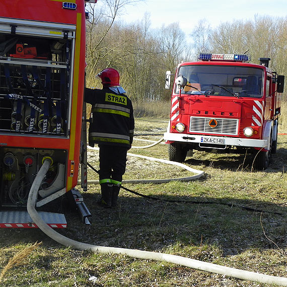 Pożar trzciny na żółcińskiej plaży