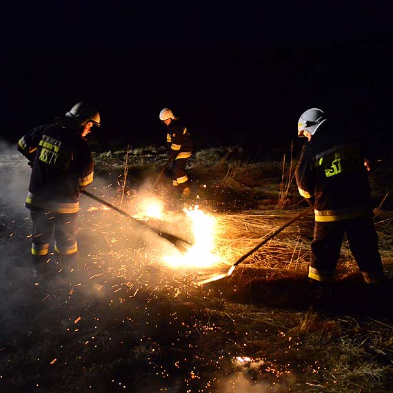Mieszkańcy widzieli, jak podpalacz ucieka do lasu