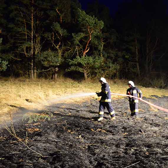 Mieszkańcy widzieli, jak podpalacz ucieka do lasu