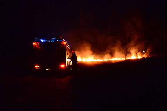Mieszkańcy widzieli, jak podpalacz ucieka do lasu