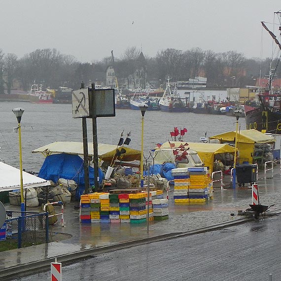 DZIWN�W: J�wiak tworzy lokaln� grup� ryback�!