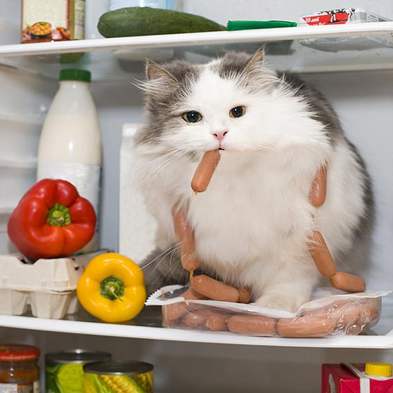 Tw�j pupilek jest za gruby. Zobacz film!