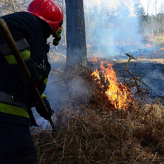 Po�ar obok gazoci�gu