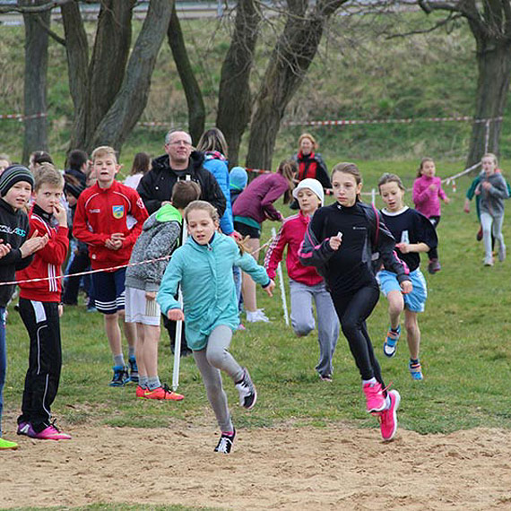 Mistrzostwa Powiatu w Wolinie