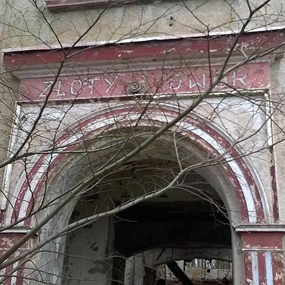 Czytelnik pyta, po co kto� wyrzuci� ryby