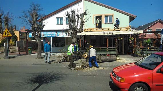 Czytelnik: W Dziwnowie wyci�to stare kasztanowce. Dlaczego nikogo o tym nie poinformowano?