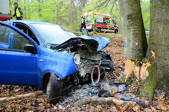 Fiat Panda jad�c z Mi�dzyzdroj�w w stron� Wise�ki uderzy� w drzewo. 2 osoby s� w stanie krytycznym
