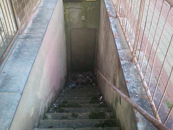 Wi�kszo�� z nas  chce �y� w czystym miejscu