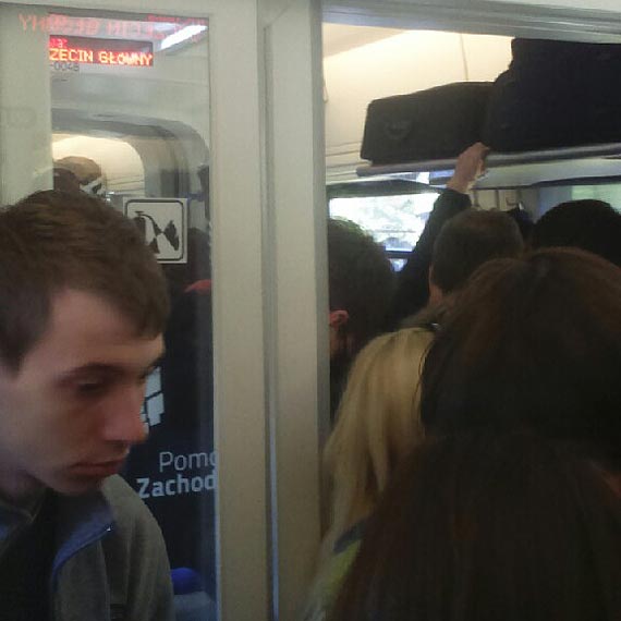 Stłoczeni jak… bydło? Zobacz film!