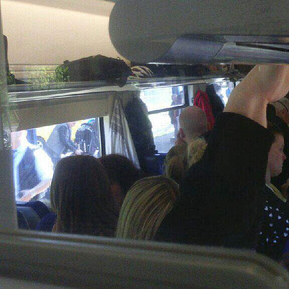 Stłoczeni jak… bydło? Zobacz film!