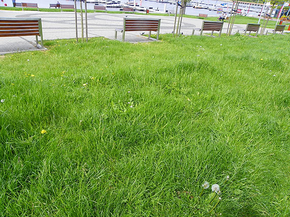 Mia�o by� lepiej...