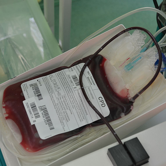 Ostromicka Kropla Krwi