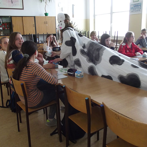 Dzie� Mleka w Publicznym Gimnazjum w Kamieniu Pomorskim